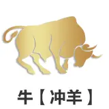 ţ